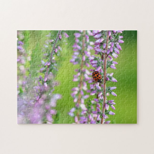 Puzzle Coccinelle sur des fleurs violettes    (Horizontal)