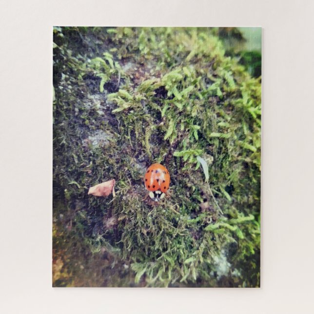 Puzzle Coccinelle sur photographie de mousse (Vertical)