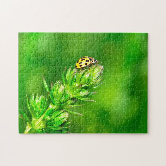 Puzzle Coccinelle tout en haut ! (Horizontal)