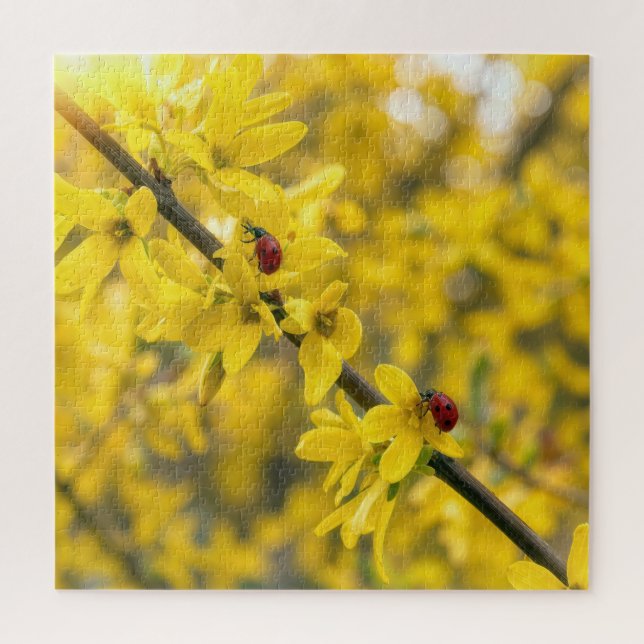 Puzzle Coccinelles sur branche de Forsythia jaune (Vertical)