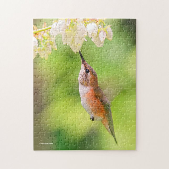 Puzzle Cochons roux de colibri Nectar de fleur de bleuets (Vertical)