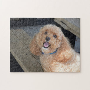 Puzzle Cockapo chien mignon race meilleur ami animal anim