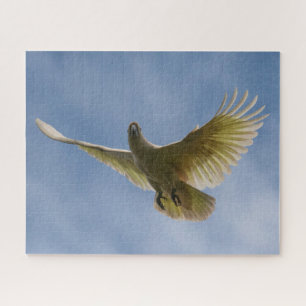 Puzzle Cockatoo australien à crête de soufre, 520 pièces