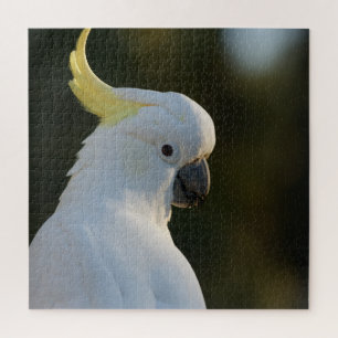 Puzzle Cockatoo blanc exotique