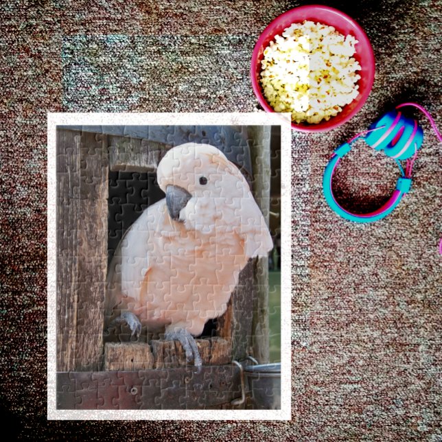 Puzzle Cockatoo Moluccan (Créateur téléchargé)