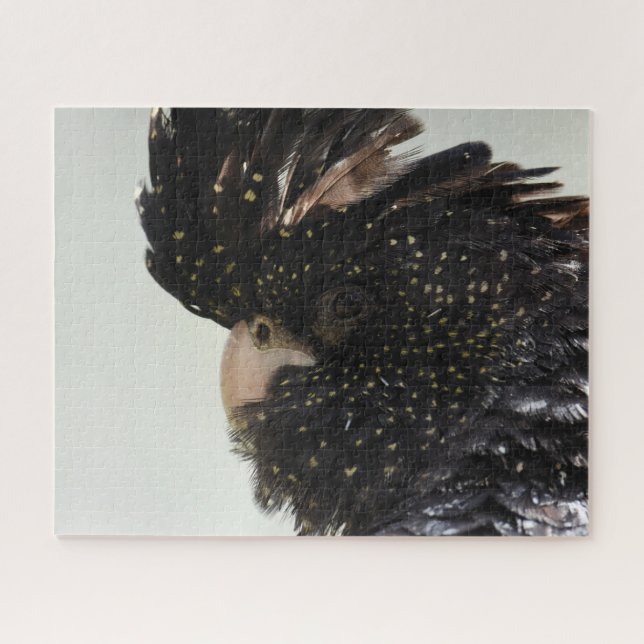 Puzzle Cockatoo noir (Horizontal)