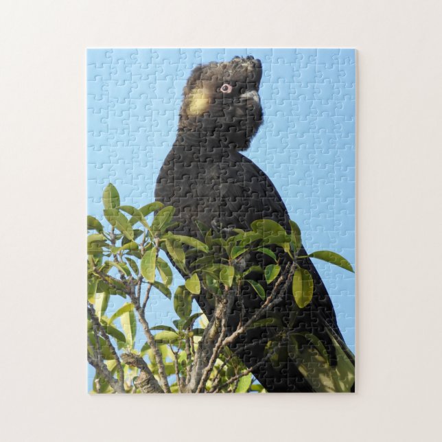 Puzzle Cockatoo noir à queue jaune (Vertical)