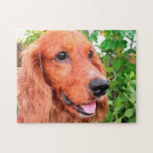 Puzzle Cocker Spaniel Chien