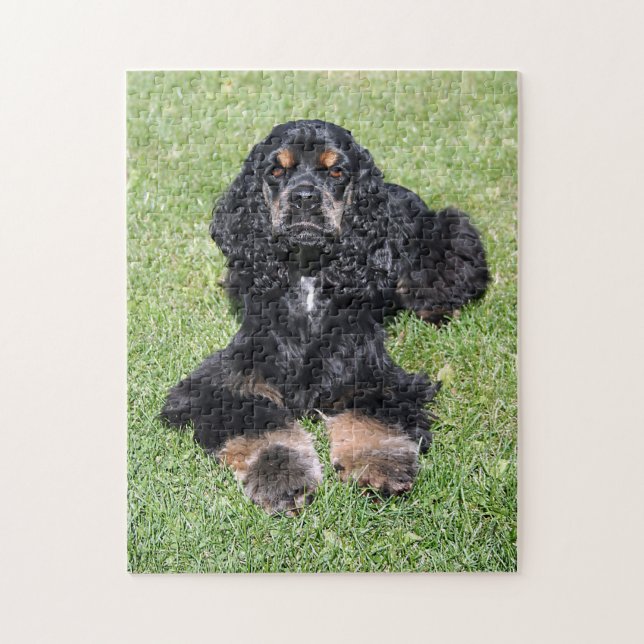 Puzzle Cocker Spaniel Photo (Vertical)