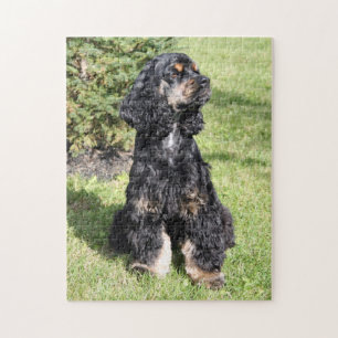 Puzzle Cocker Spaniel Photo 3