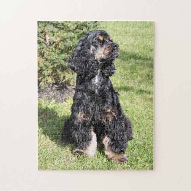 Puzzle Cocker Spaniel Photo 3 (Vertical)