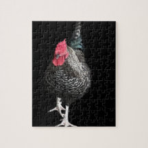 Cockerel Black Strutt No 3
