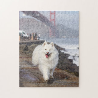 Puzzle Coconut - Golden Gate Bridge
