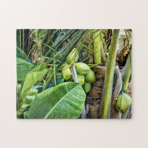 Puzzle Cocotiers Iles tropicales Vierges Caraïbes