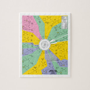 Puzzle Code génétique pour des acides aminés (roue de