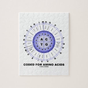 Puzzle Codé pour les acides aminés (ADN de code