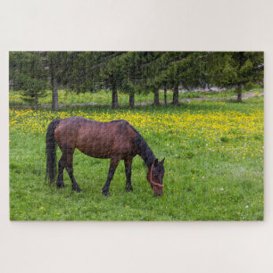 Puzzle Col de Tihuta, cheval dans un pâturage