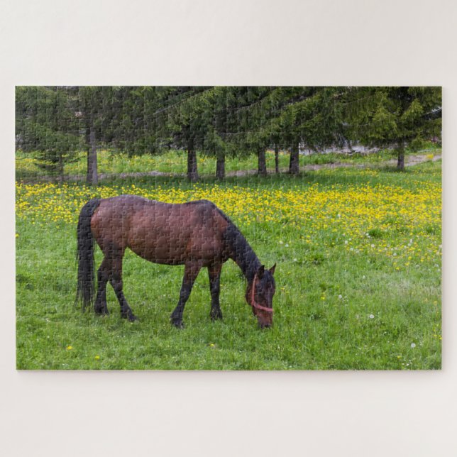 Puzzle Col de Tihuta, cheval dans un pâturage (Horizontal)