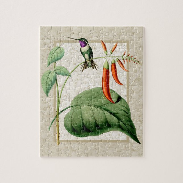 Puzzle Colibri à ventre blanc casse-tête (Vertical)
