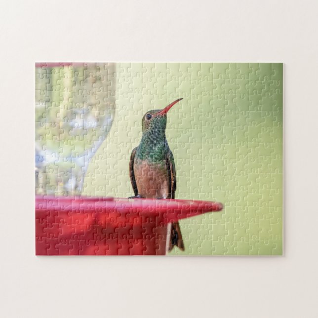 Puzzle Colibri à ventre cassé au Texas (Horizontal)