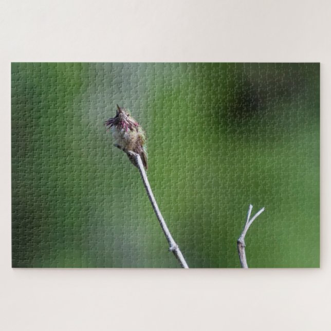 Puzzle Colibri Calliope (Horizontal)