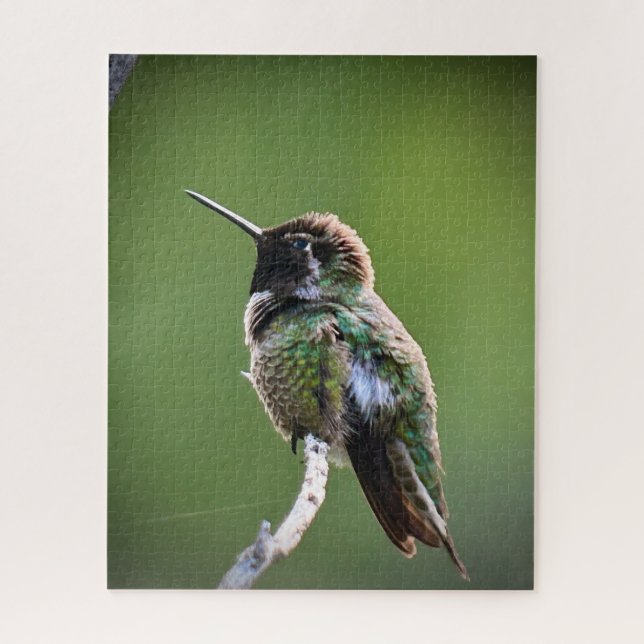 Puzzle Colibri d'Anna (Vertical)