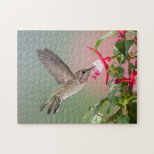 Puzzle Colibri d'Anna (Horizontal)
