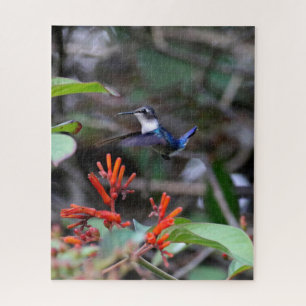 Puzzle Colibri en vol et fleurs rouges
