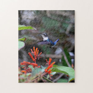 Puzzle Colibri en vol et fleurs rouges