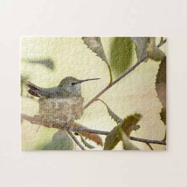 Puzzle Colibri femelle sur son nid (Horizontal)