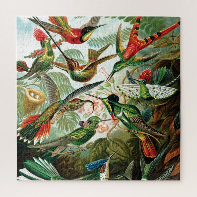 Puzzle Colibri par Ernst Haeckel (Vertical)