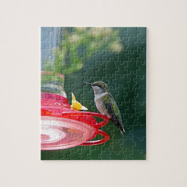 Puzzle Colibri perché (Vertical)