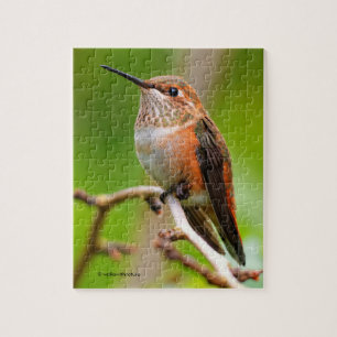 Puzzle Colibri roux femelle sur le prunier