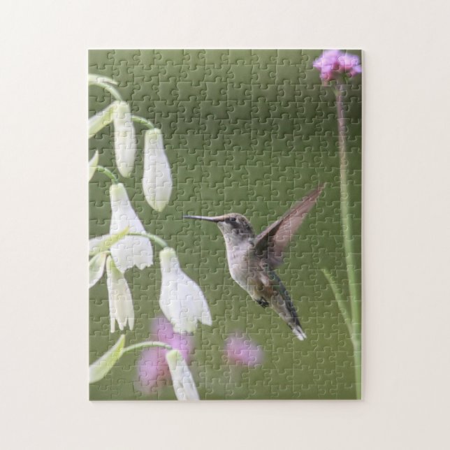Puzzle colibri Rubis-throated (Vertical)