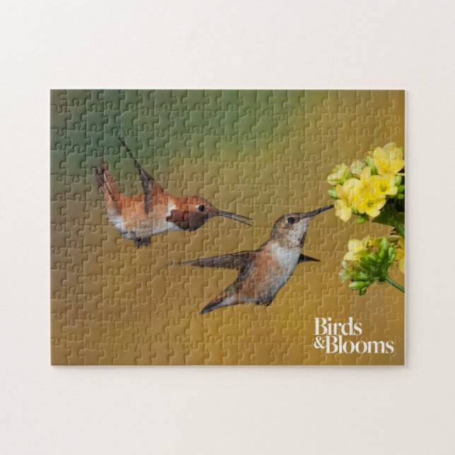 Puzzle Colibri Rufous de flottement (Horizontal)