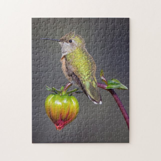 Puzzle Colibri se repose sur un bouton de fleur (Vertical)