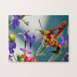 Puzzle Colibri Sphinx Papillon.