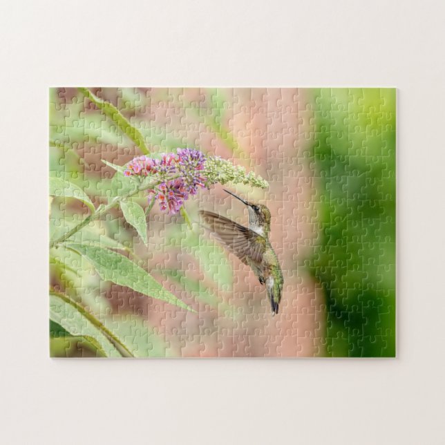 Puzzle Colibri sur un plante à fleurs (Horizontal)