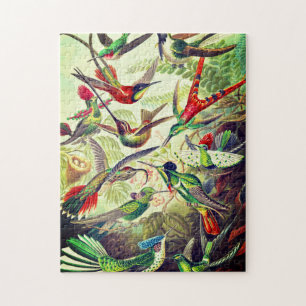 Puzzle Colibri vintage par Ernst Haeckel