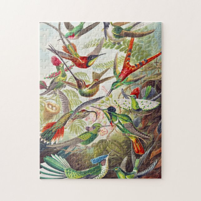 Puzzle Colibri vintage par Ernst Haeckel (Vertical)