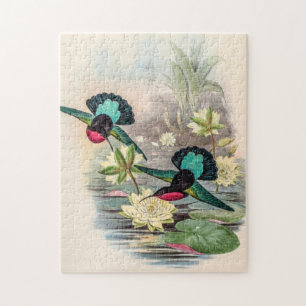 Puzzle Colibri vintage par John Gould