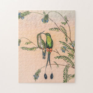 Puzzle Colibri vintage par John Gould