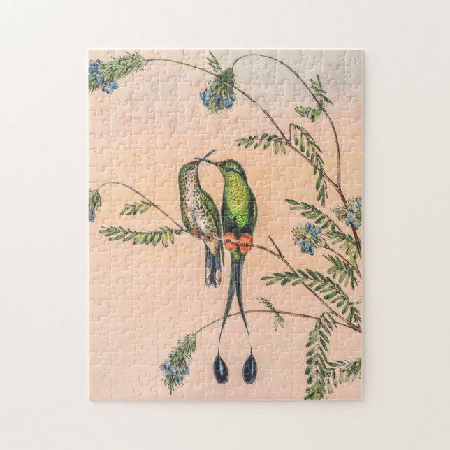 Puzzle Colibri vintage par John Gould (Vertical)