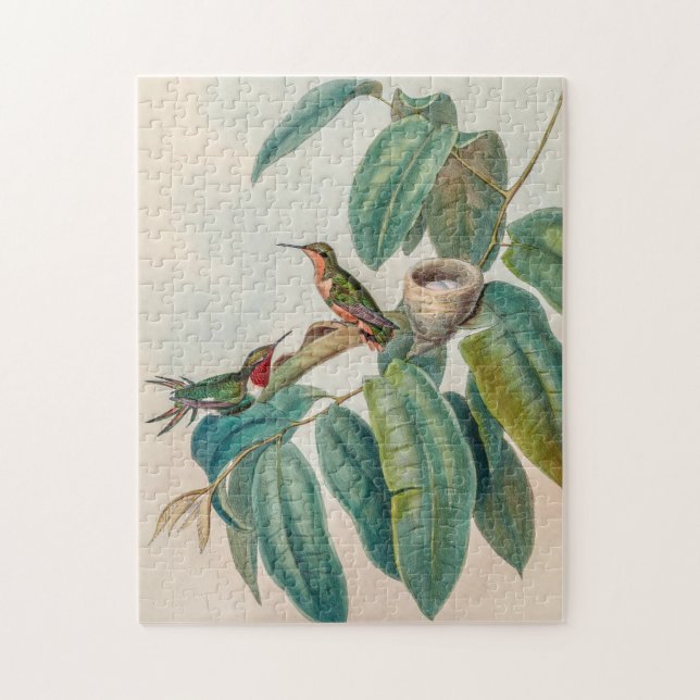 Puzzle Colibri vintage par John Gould (Vertical)
