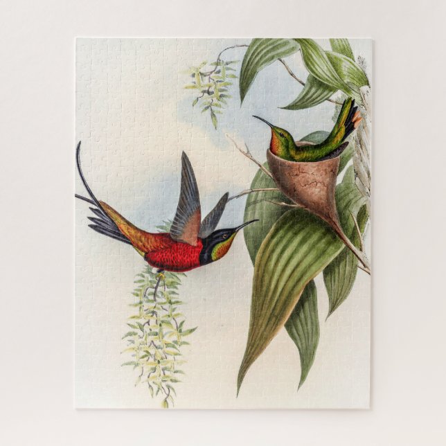 Puzzle Colibri vintage par John Gould (Vertical)