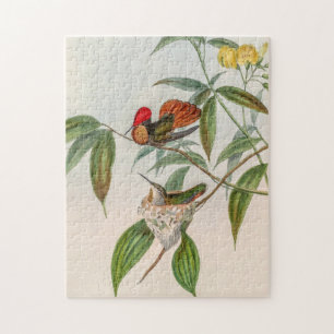 Puzzle Colibri vintage par John Gould