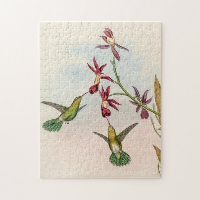 Puzzle Colibri vintage par John Gould (Vertical)