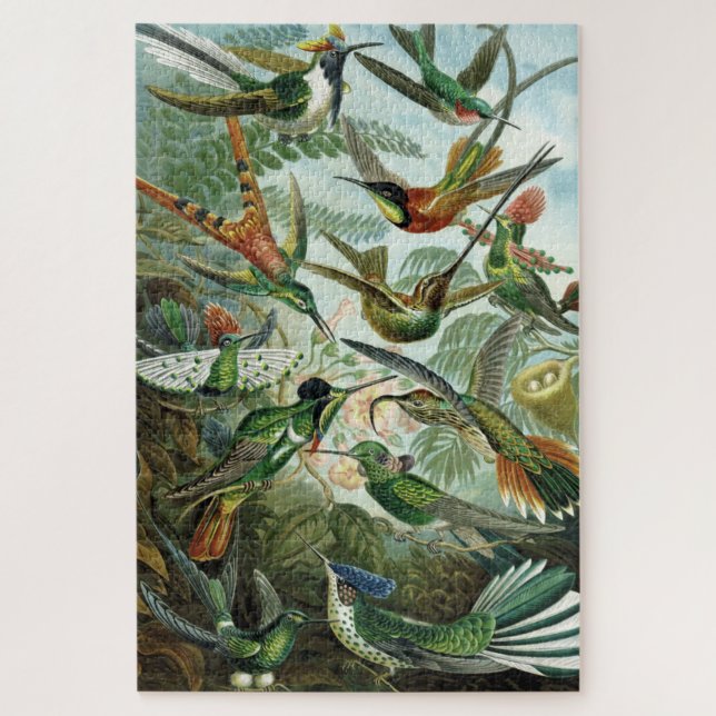 Puzzle Colibris - Ernst Haeckel (Vertical)