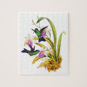 Puzzle Colibris et orchidées pourpres
