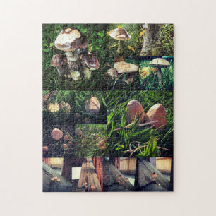Puzzle Collage de champignon